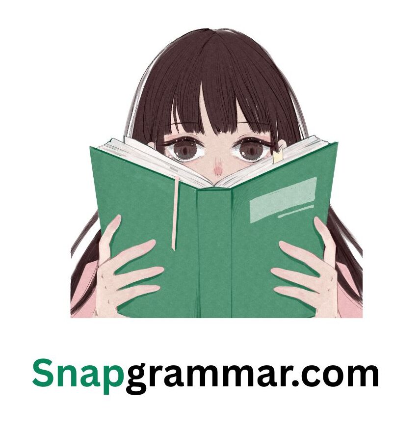 snapgrammar.com