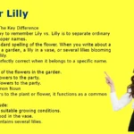Lily or Lilly