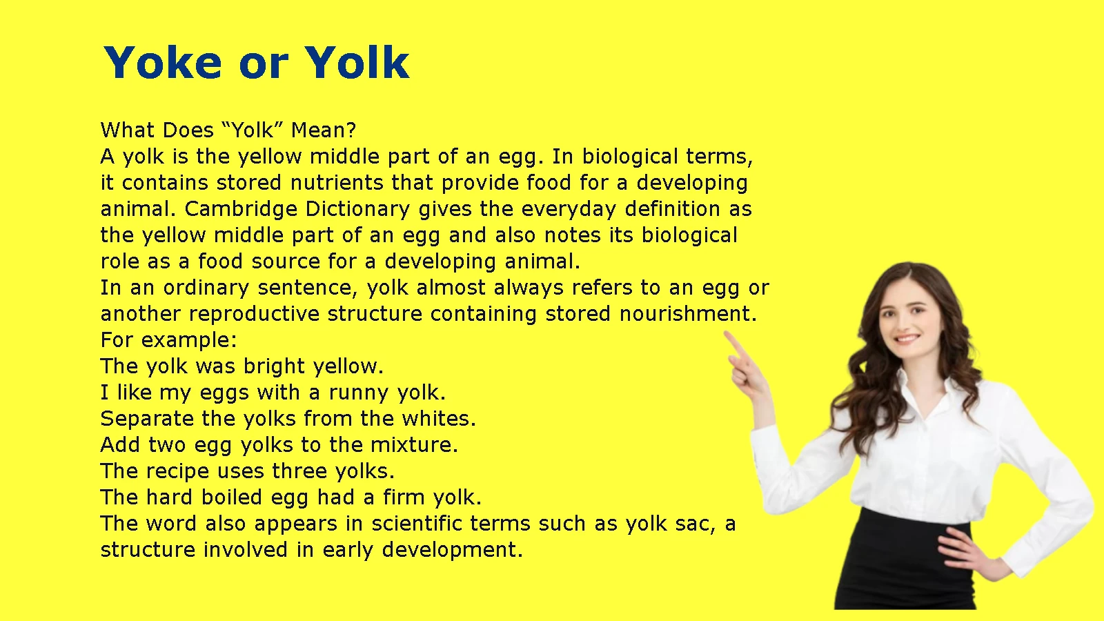 Yoke or Yolk