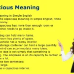 Capacious Meaning
