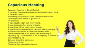 Capacious Meaning