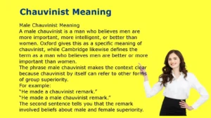 Chauvinist Meaning