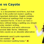 Coyote vs Cayote