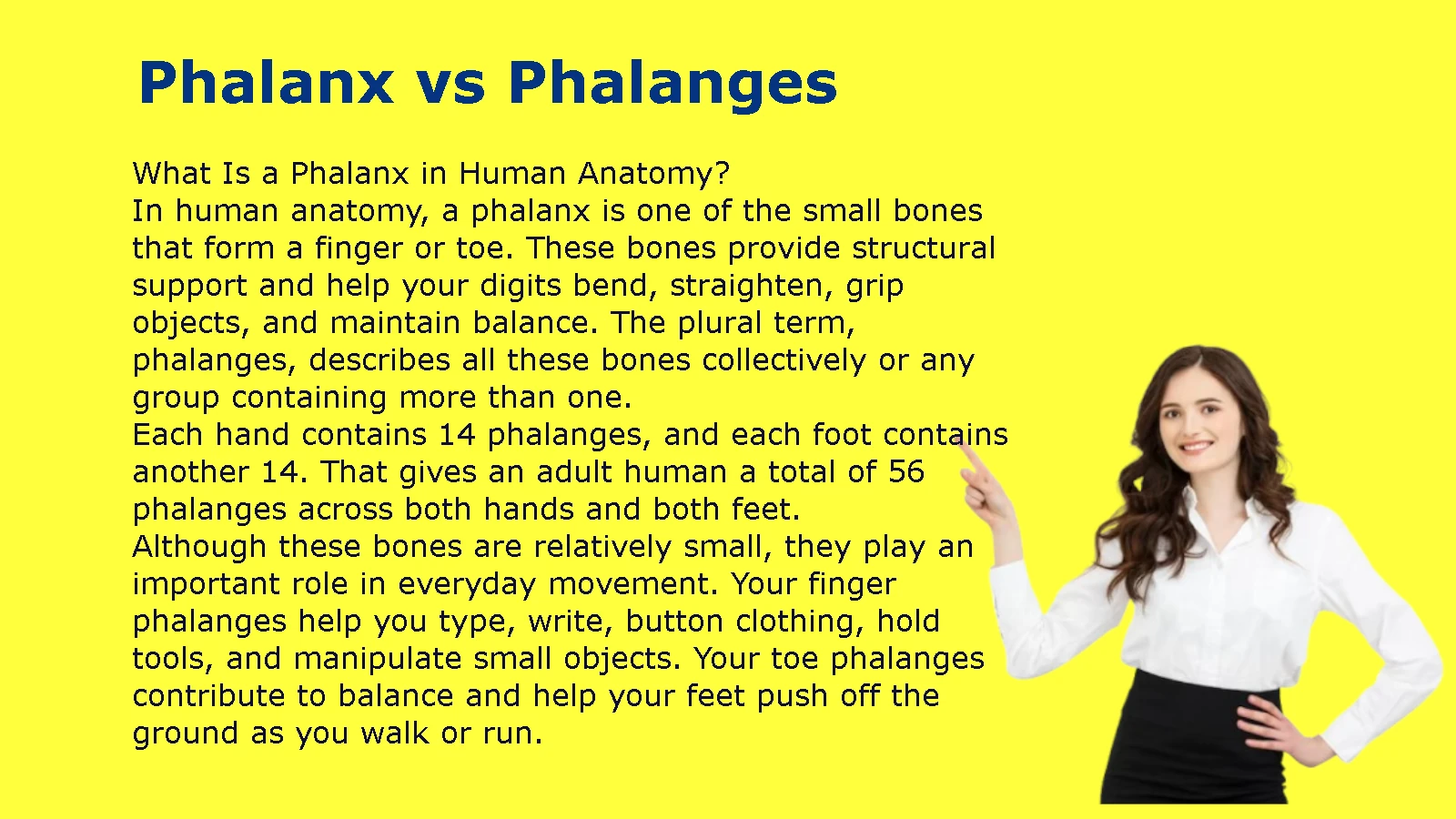 Phalanx vs Phalanges
