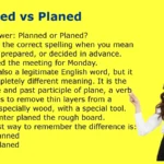 Planned vs Planed