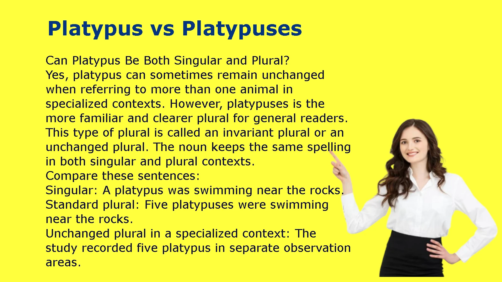 Platypus vs Platypuses