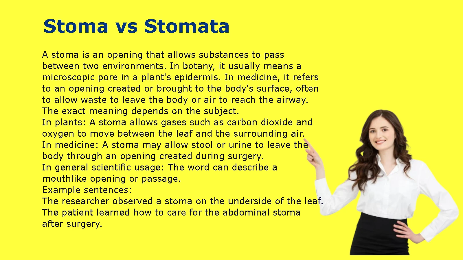 Stoma vs Stomata